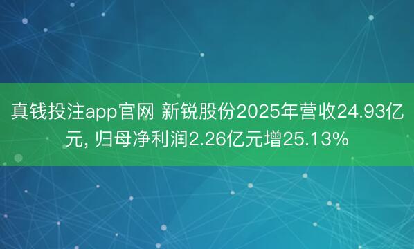 真钱投注app官网 新锐股份2025年营收24.93亿元， 归母净利润2.26亿元增25.13%