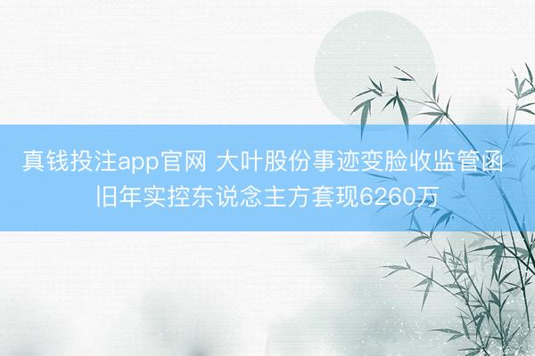 真钱投注app官网 大叶股份事迹变脸收监管函 旧年实控东说念主方套现6260万