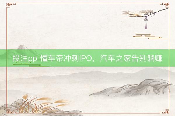 投注pp 懂车帝冲刺IPO，汽车之家告别躺赚
