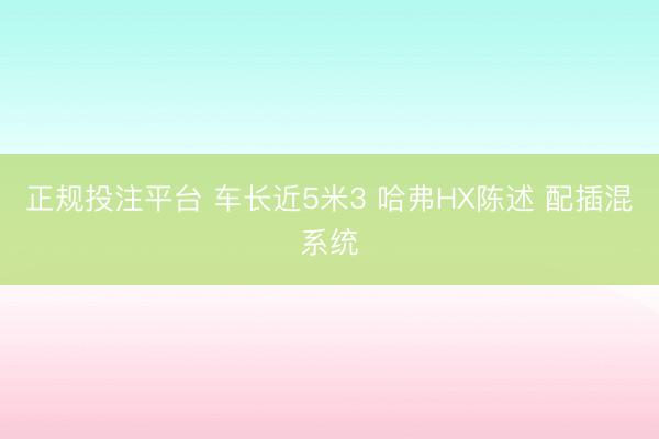 正规投注平台 车长近5米3 哈弗HX陈述 配插混系统