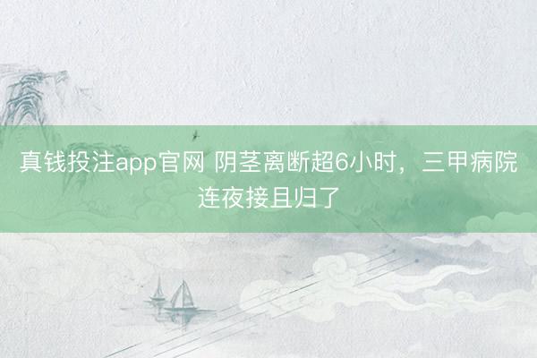 真钱投注app官网 阴茎离断超6小时，三甲病院连夜接且归了