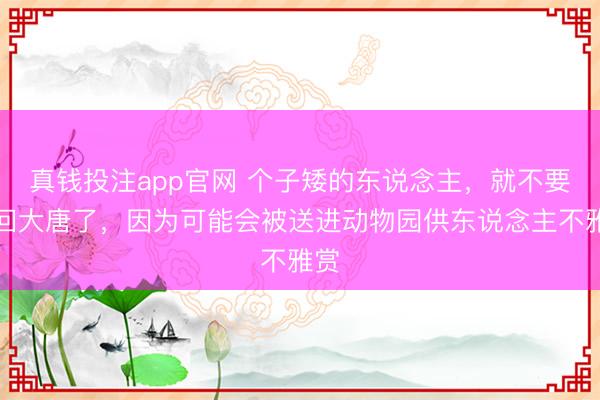 真钱投注app官网 个子矮的东说念主，就不要梦回大唐了，因为可能会被送进动物园供东说念主不雅赏