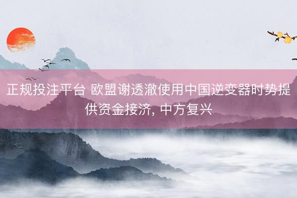 正规投注平台 欧盟谢透澈使用中国逆变器时势提供资金接济， 中方复兴