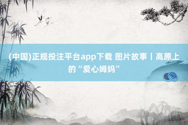 (中国)正规投注平台app下载 图片故事丨高原上的“爱心姆妈”