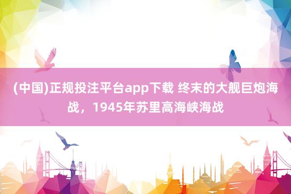 (中国)正规投注平台app下载 终末的大舰巨炮海战,1945年苏里高海峡海战