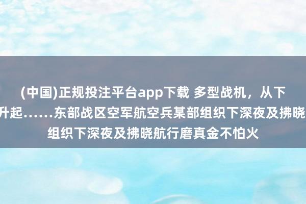 (中国)正规投注平台app下载 多型战机,从下深夜“战”至向阳升起……东部战区空军航空兵某部组织下深夜及拂晓航行磨真金不怕火