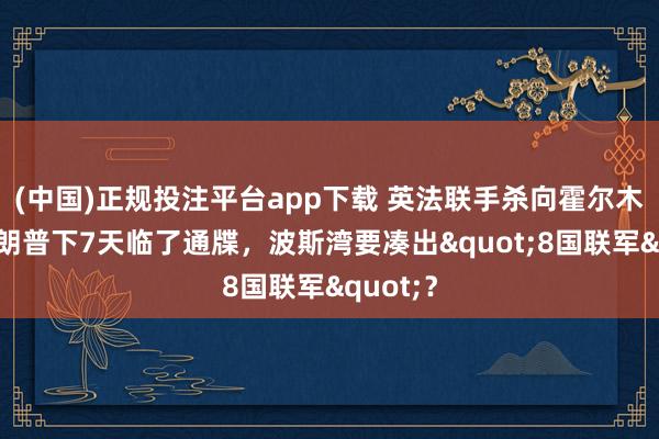 (中国)正规投注平台app下载 英法联手杀向霍尔木兹!特朗普下7天临了通牒,波斯湾要凑出"8国联军"?