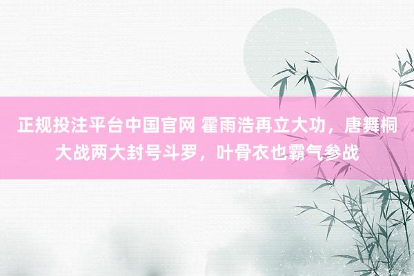 正规投注平台中国官网 霍雨浩再立大功,唐舞桐大战两大封号斗罗,叶骨衣也霸气参战