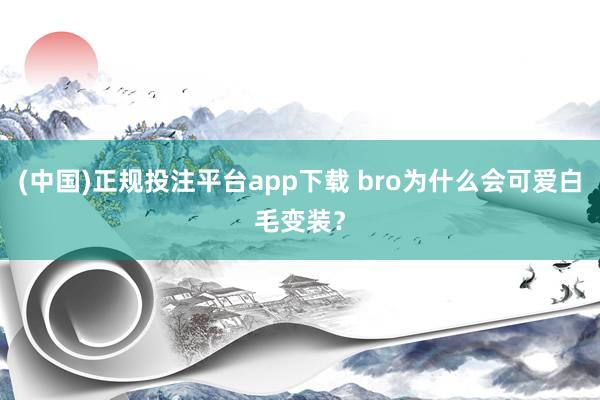 (中国)正规投注平台app下载 bro为什么会可爱白毛变装？