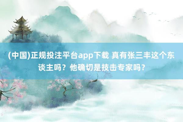(中国)正规投注平台app下载 真有张三丰这个东谈主吗?他确切是技击专家吗?