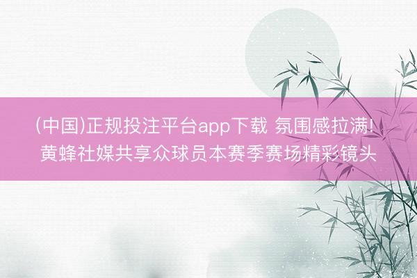 (中国)正规投注平台app下载 氛围感拉满! 黄蜂社媒共享众球员本赛季赛场精彩镜头