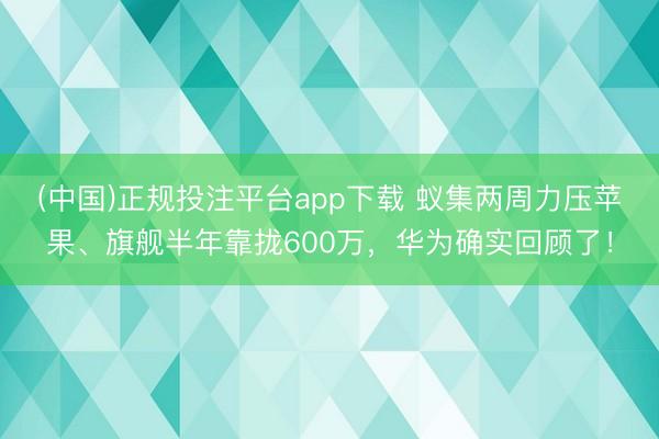 (中国)正规投注平台app下载 蚁集两周力压苹果、旗舰半年靠拢600万,华为确实回顾了!