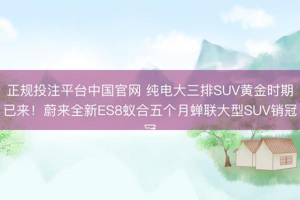 正规投注平台中国官网 纯电大三排SUV黄金时期已来!蔚来全新ES8蚁合五个月蝉联大型SUV销冠