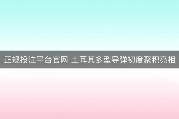 正规投注平台官网 土耳其多型导弹初度聚积亮相