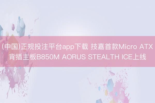 (中国)正规投注平台app下载 技嘉首款Micro ATX背插主板B850M AORUS STEALTH ICE上线
