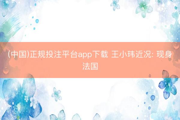 (中国)正规投注平台app下载 王小玮近况: 现身法国