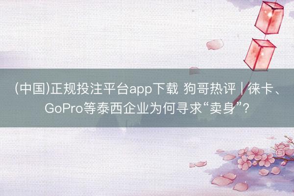 (中国)正规投注平台app下载 狗哥热评 | 徕卡、GoPro等泰西企业为何寻求“卖身”?