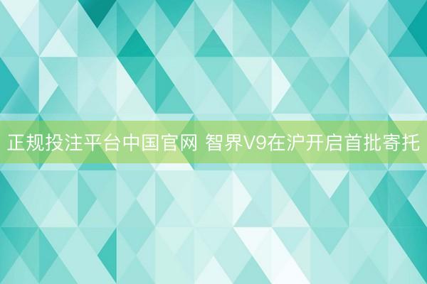 正规投注平台中国官网 智界V9在沪开启首批寄托