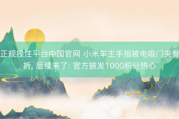 正规投注平台中国官网 小米车主手指被电吸门夹骨折, 后续来了: 官方披发1000积分热心