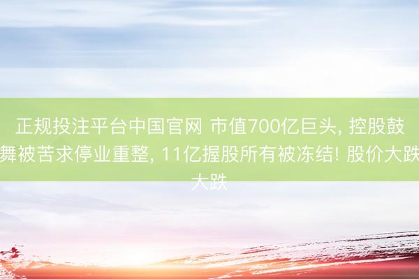 正规投注平台中国官网 市值700亿巨头, 控股鼓舞被苦求停业重整, 11亿握股所有被冻结! 股价大跌