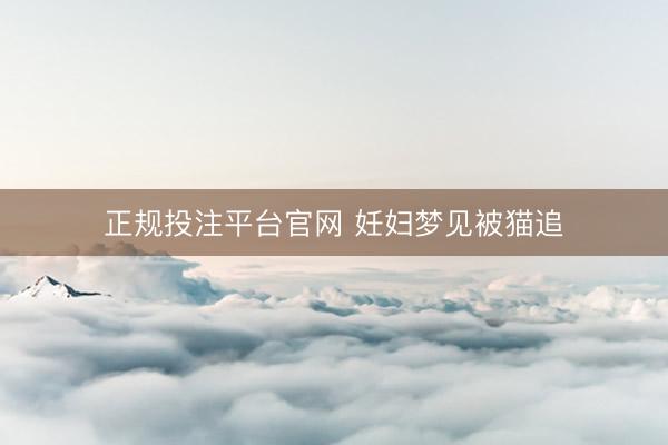 正规投注平台官网 妊妇梦见被猫追