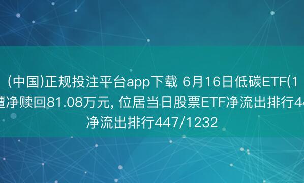 (中国)正规投注平台app下载 6月16日低碳ETF(159885)遭净赎回81.08万元, 位居当日股票ETF净流出排行447/1232