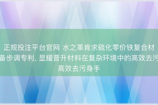 正规投注平台官网 水之革肯求硫化零价铁复合材料制备步调专利， 显耀晋升材料在复杂环境中的高效去污身手